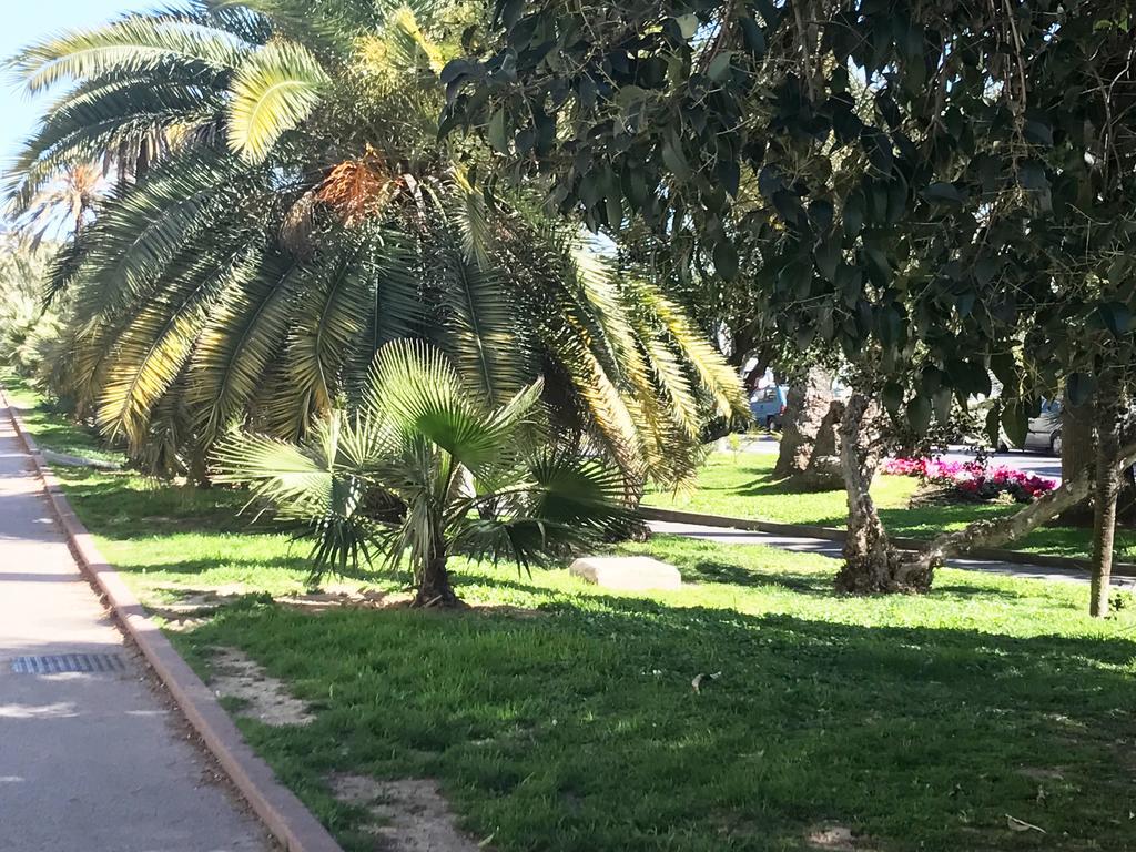 Sanremo Home المظهر الخارجي الصورة